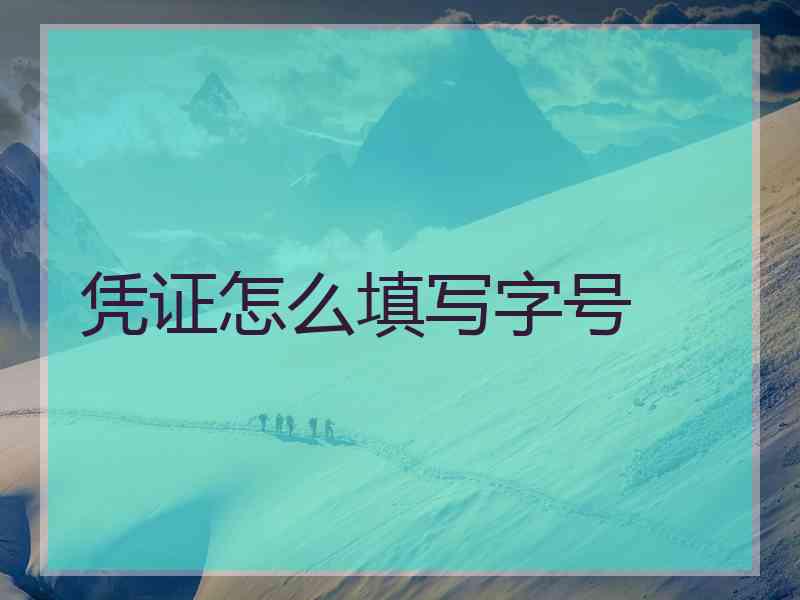 凭证怎么填写字号