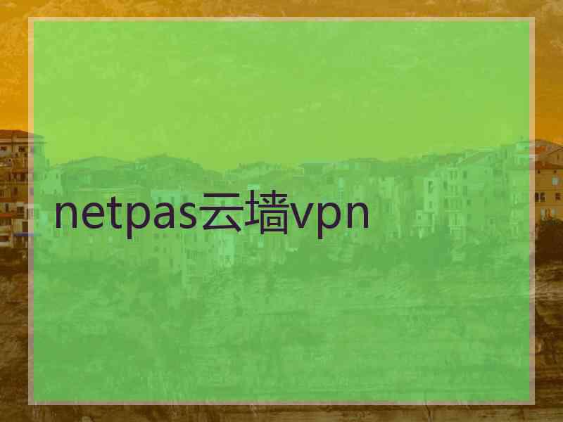 netpas云墙vpn