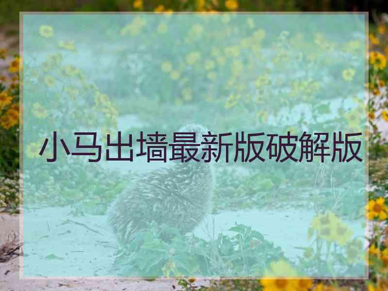 小马出墙最新版破解版