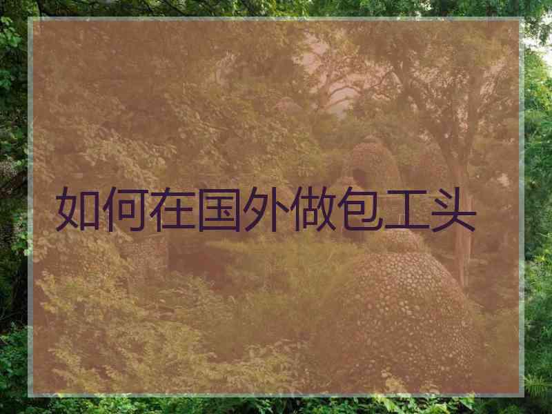 如何在国外做包工头