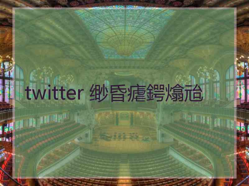 twitter 缈昏瘧鍔熻兘