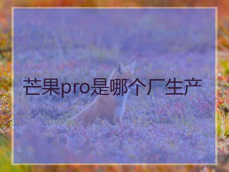 芒果pro是哪个厂生产