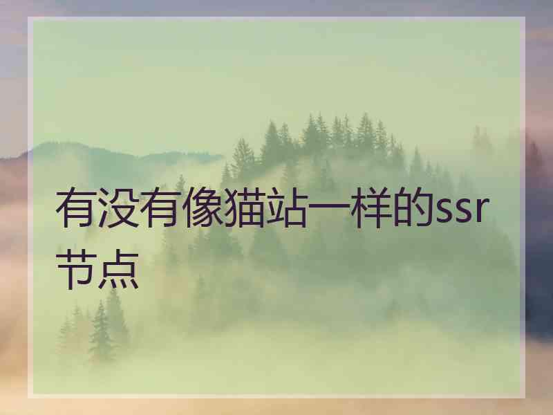 有没有像猫站一样的ssr节点