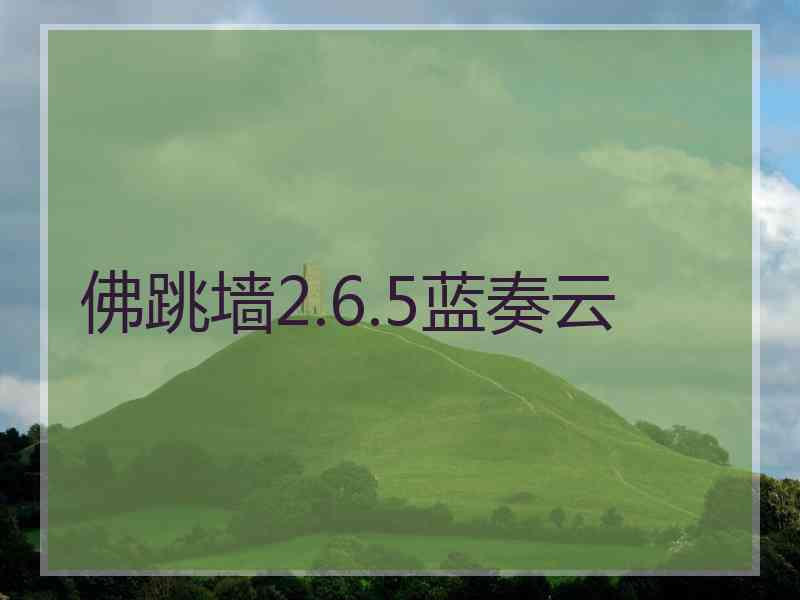 佛跳墙2.6.5蓝奏云