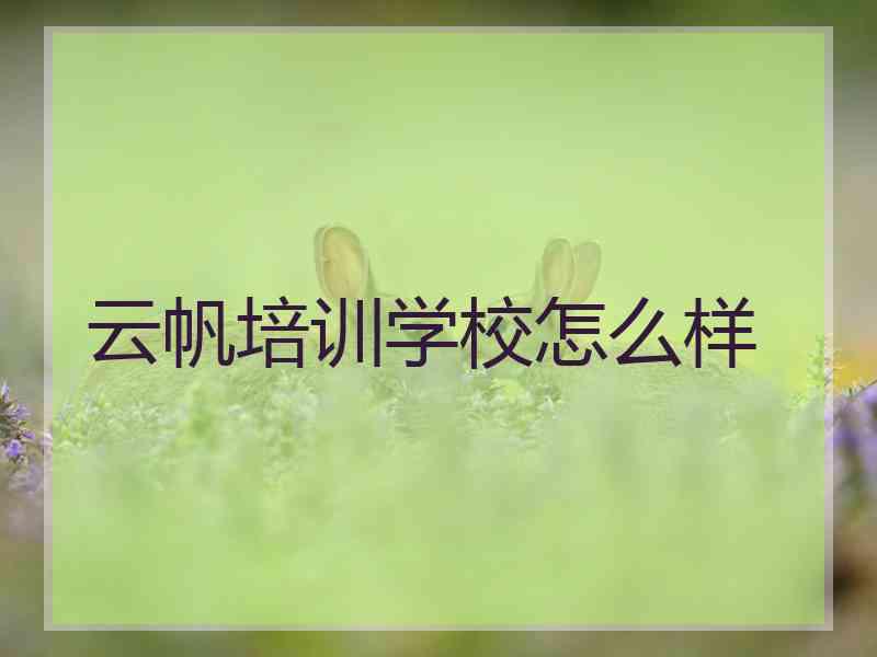 云帆培训学校怎么样
