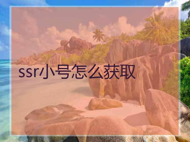 ssr小号怎么获取