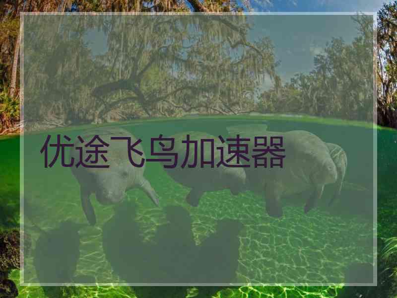 优途飞鸟加速器