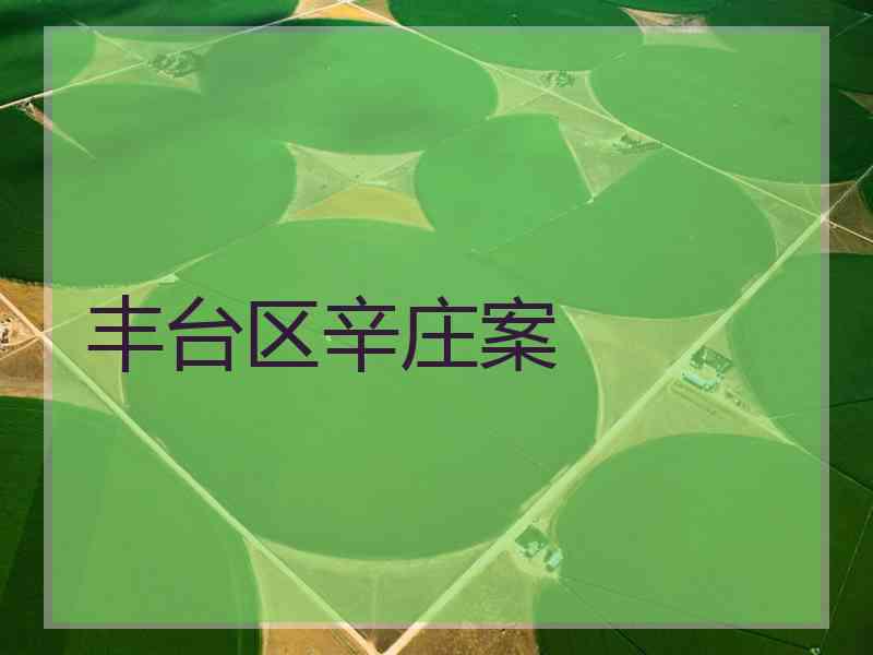 丰台区辛庄案