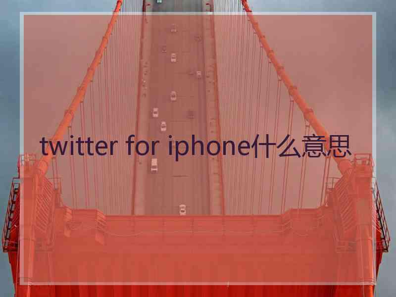twitter for iphone什么意思