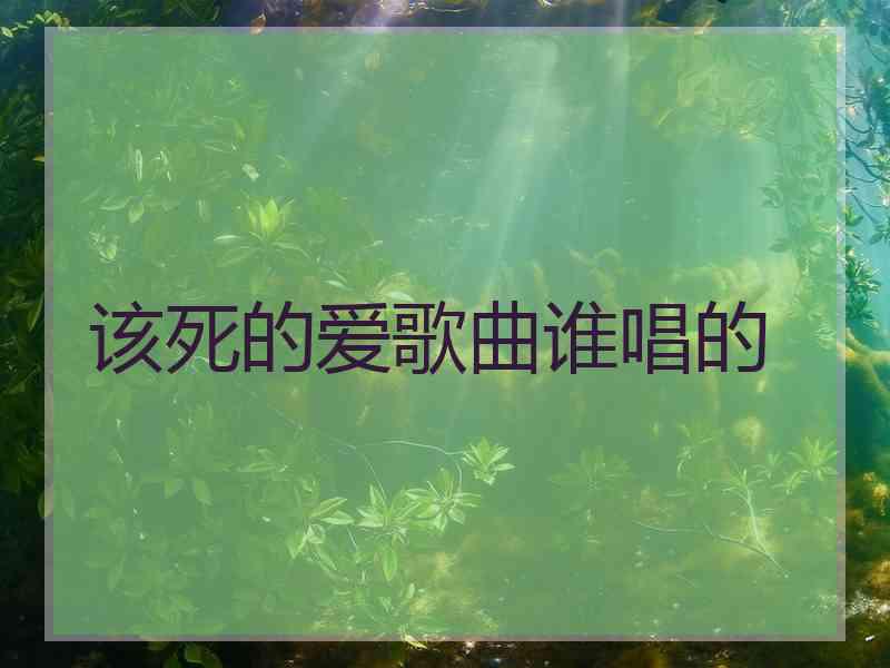 该死的爱歌曲谁唱的