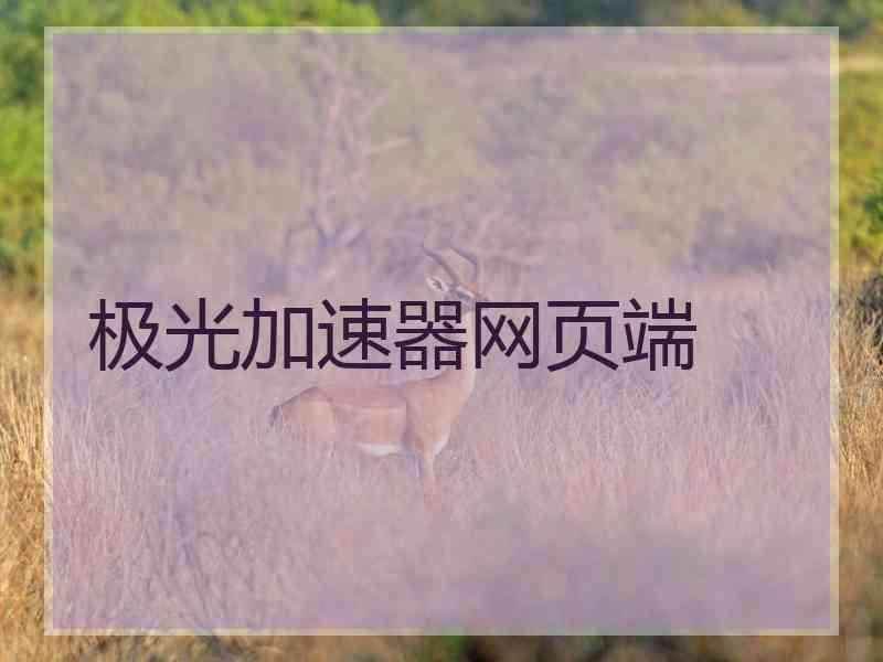 极光加速器网页端
