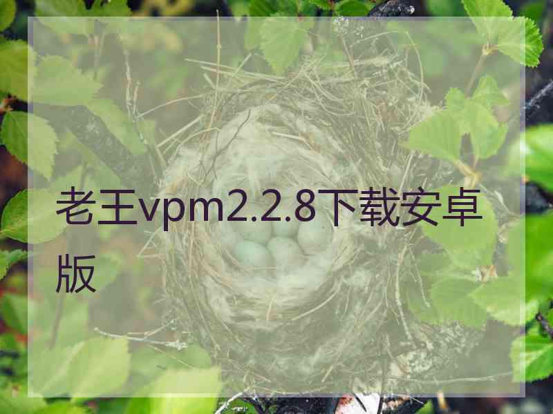 老王vpm2.2.8下载安卓版