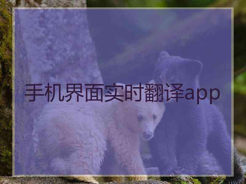 手机界面实时翻译app