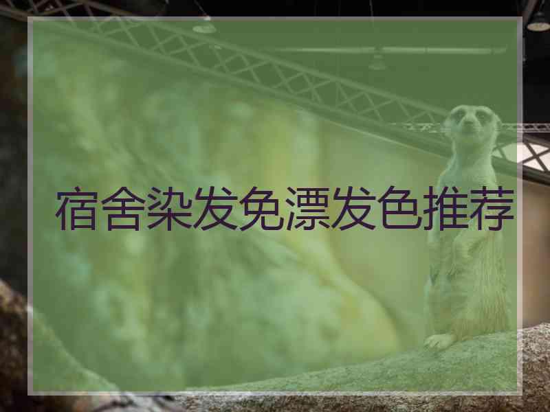 宿舍染发免漂发色推荐