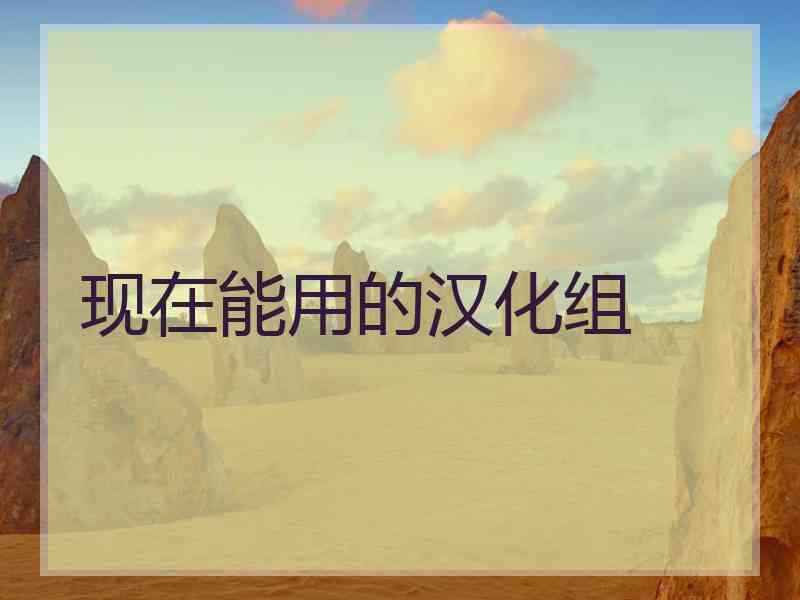 现在能用的汉化组