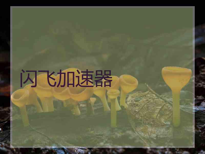 闪飞加速器