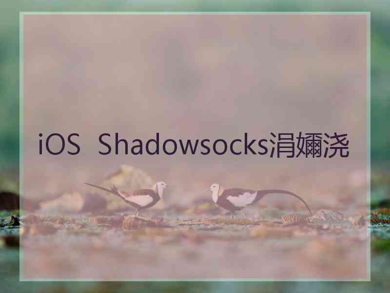 iOS  Shadowsocks涓嬭浇