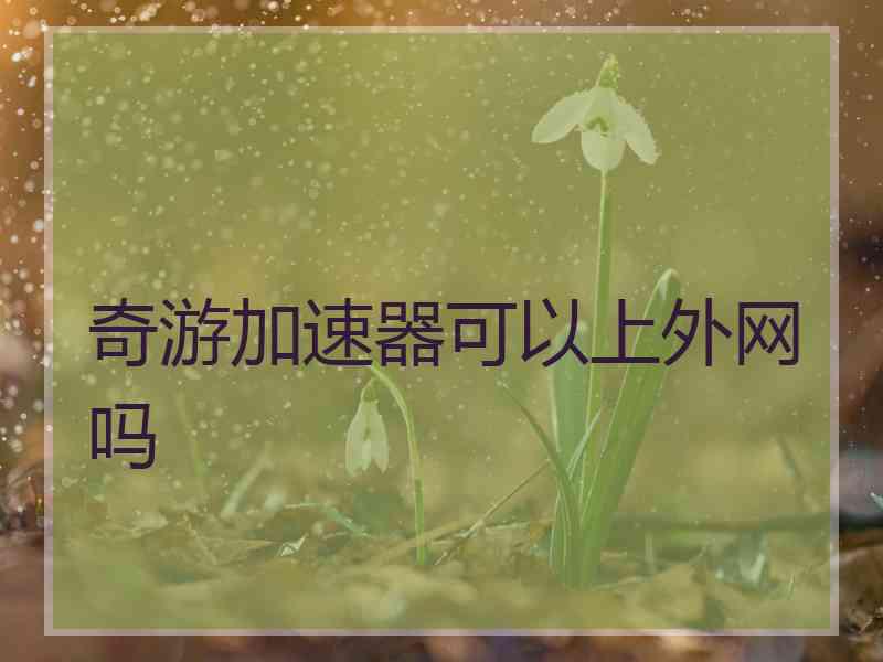奇游加速器可以上外网吗