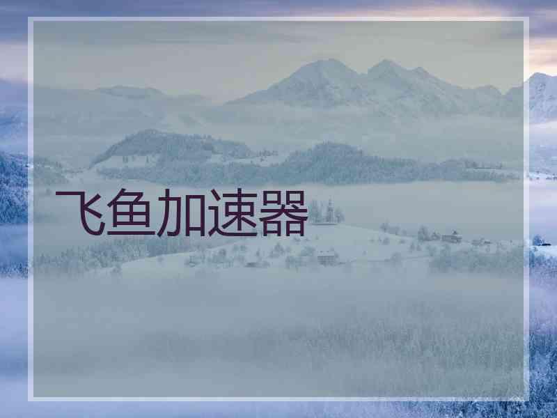 飞鱼加速器