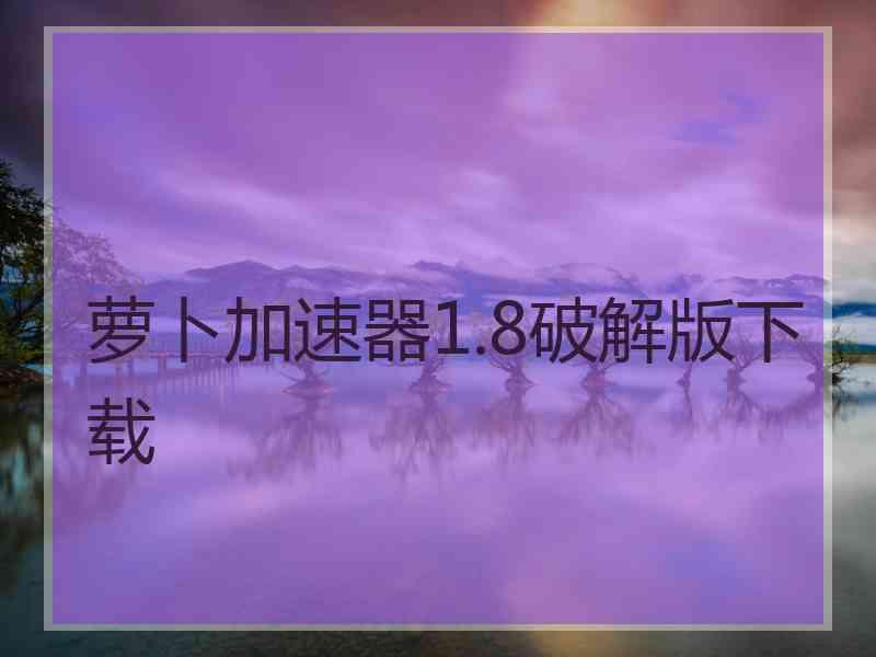 萝卜加速器1.8破解版下载