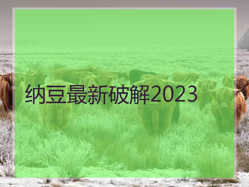 纳豆最新破解2023