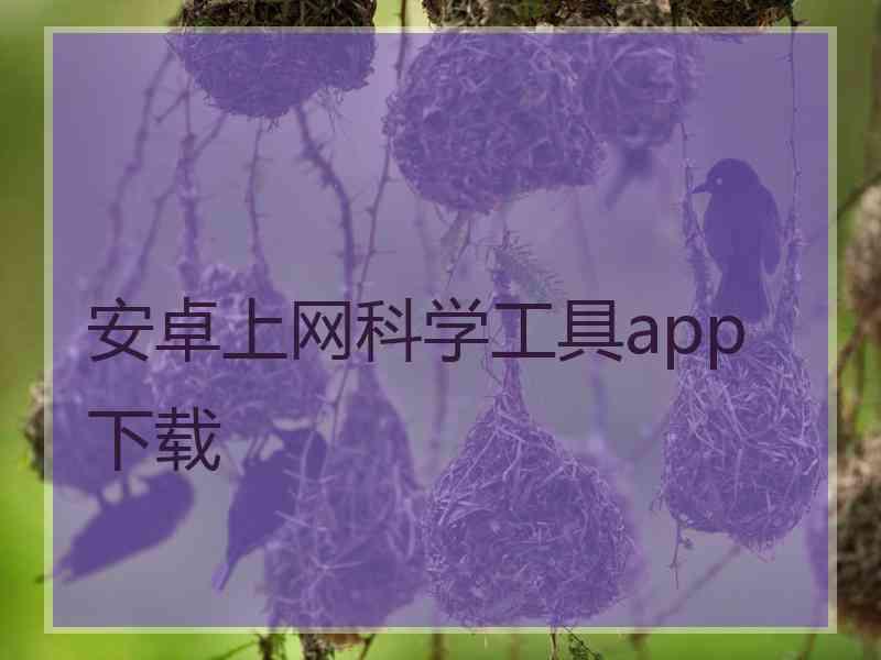 安卓上网科学工具app 下载
