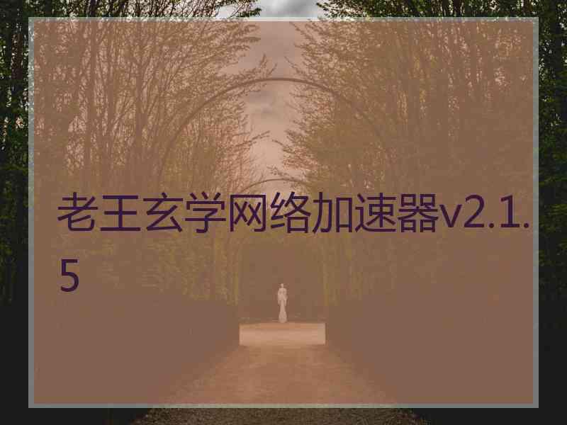 老王玄学网络加速器v2.1.5