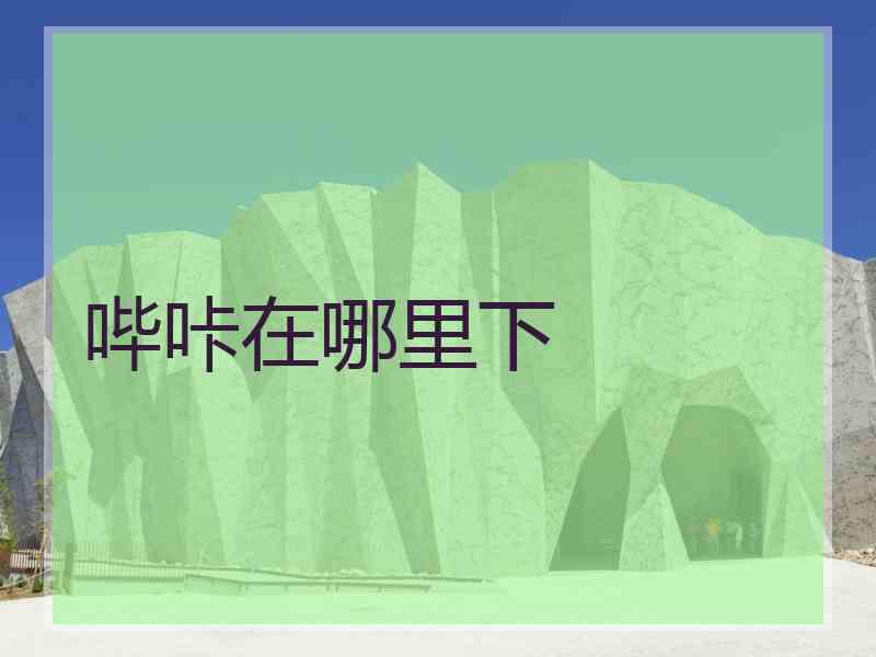 哔咔在哪里下