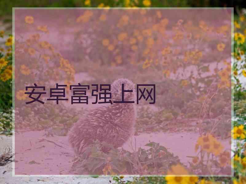安卓富强上网