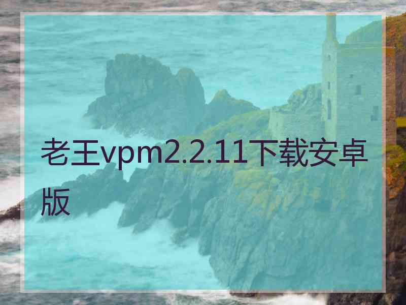 老王vpm2.2.11下载安卓版
