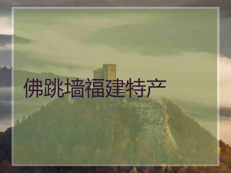 佛跳墙福建特产