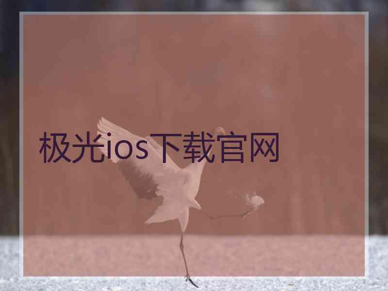 极光ios下载官网
