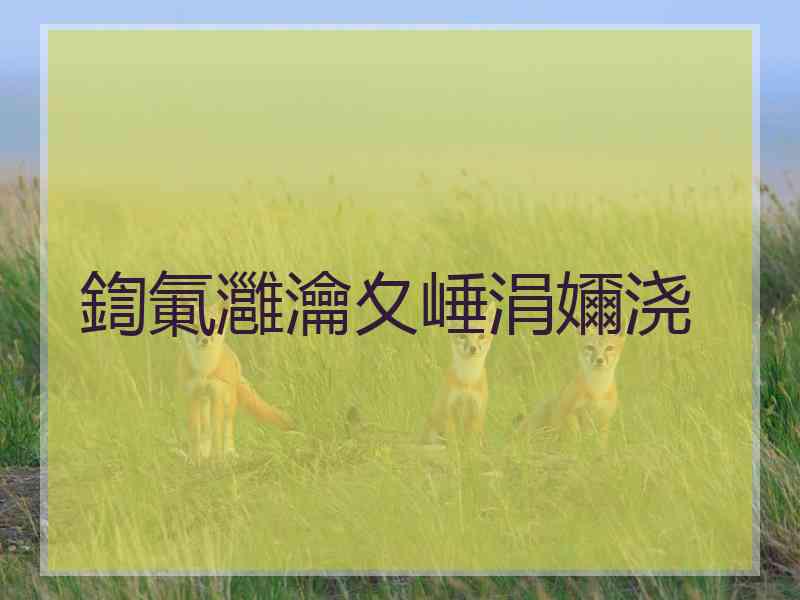 鍧氭灉瀹夊崜涓嬭浇