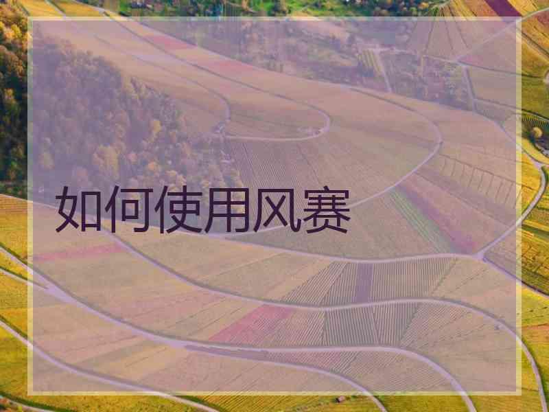 如何使用风赛