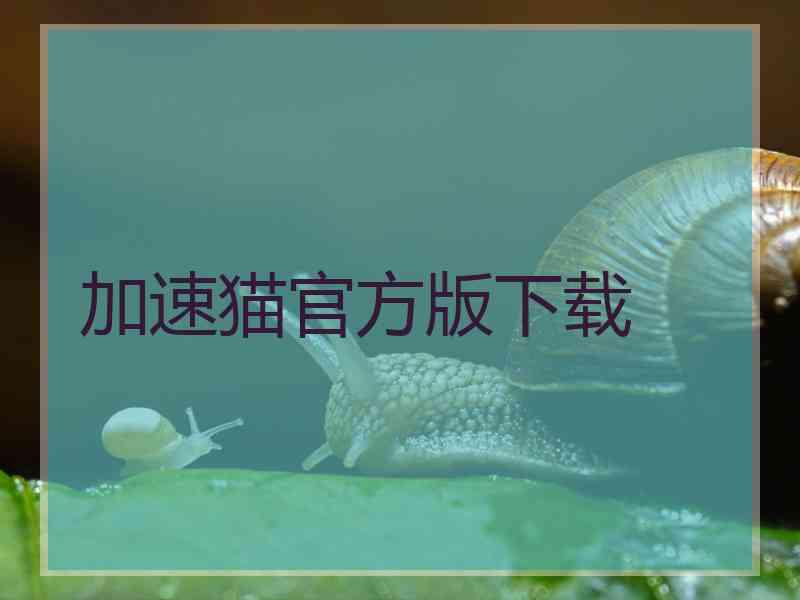 加速猫官方版下载