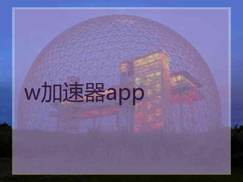 w加速器app