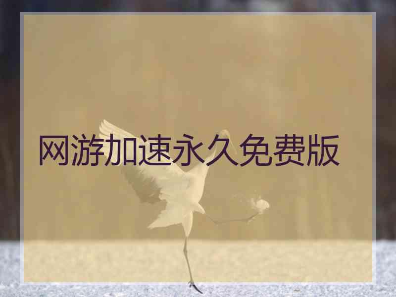 网游加速永久免费版