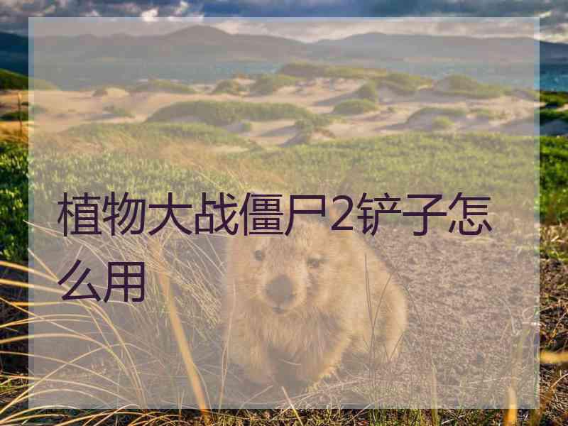 植物大战僵尸2铲子怎么用