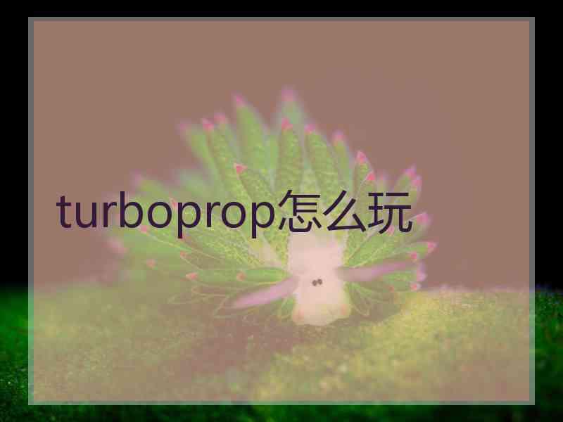 turboprop怎么玩