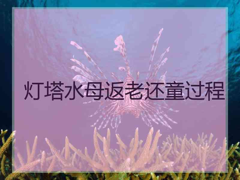 灯塔水母返老还童过程