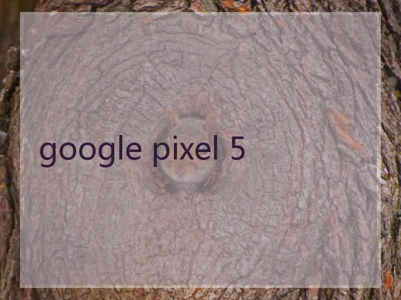 google pixel 5