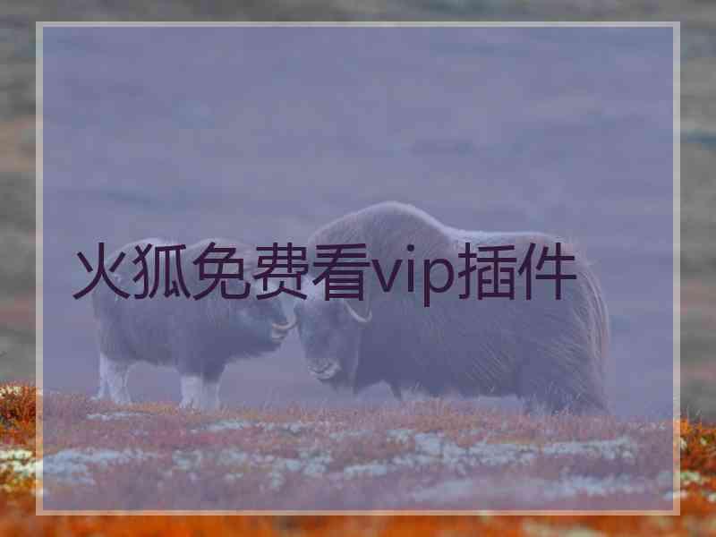 火狐免费看vip插件