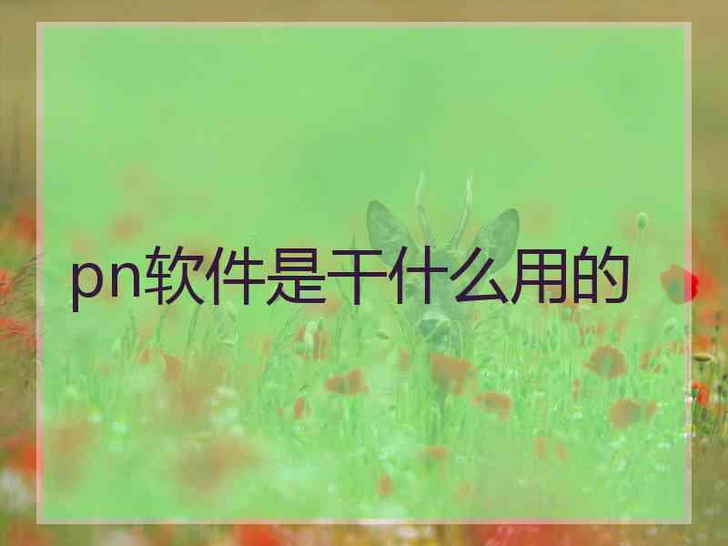 pn软件是干什么用的