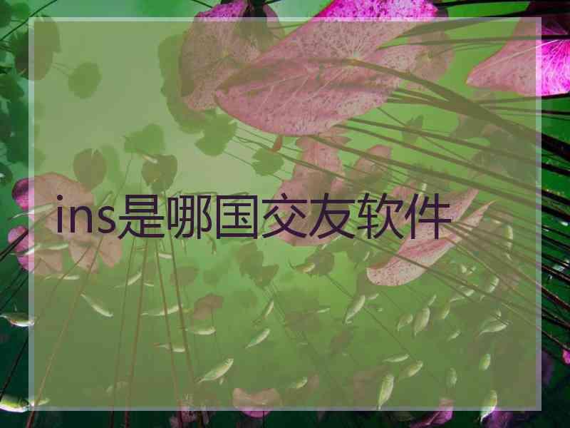 ins是哪国交友软件