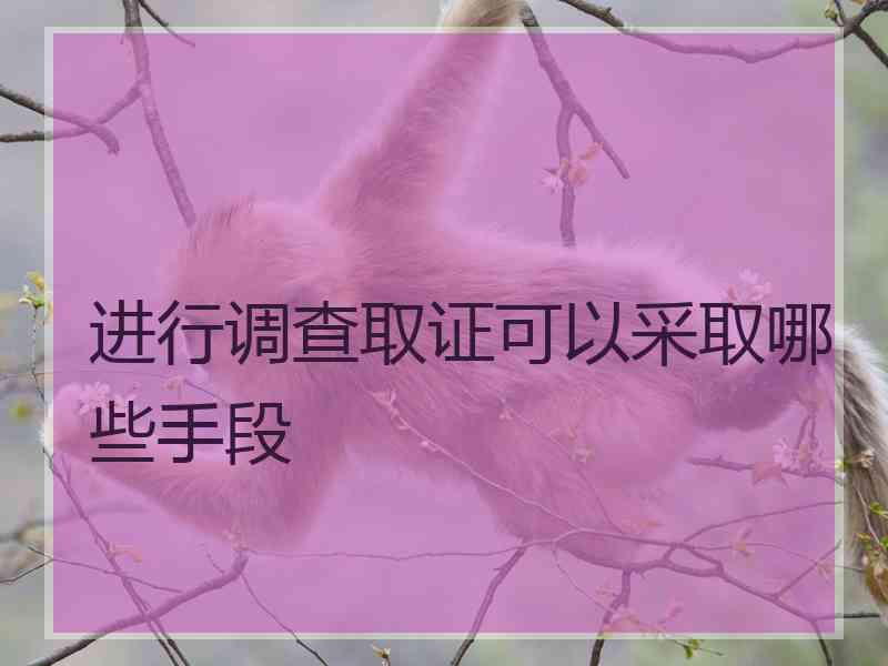 进行调查取证可以采取哪些手段