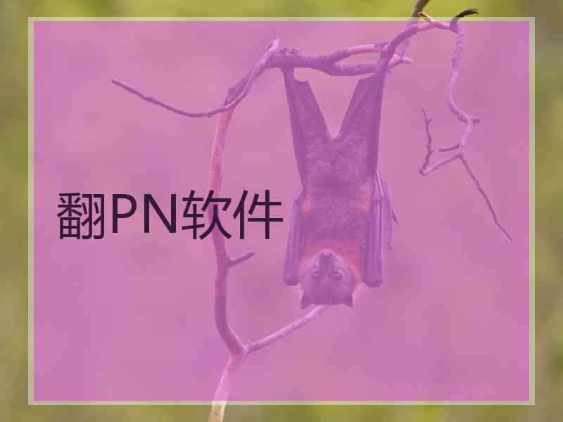 翻PN软件