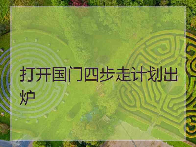 打开国门四步走计划出炉