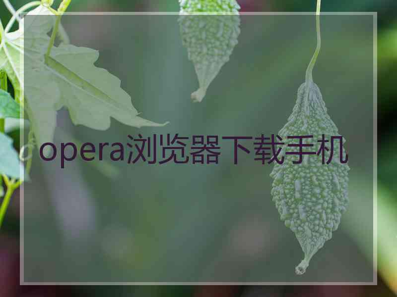 opera浏览器下载手机