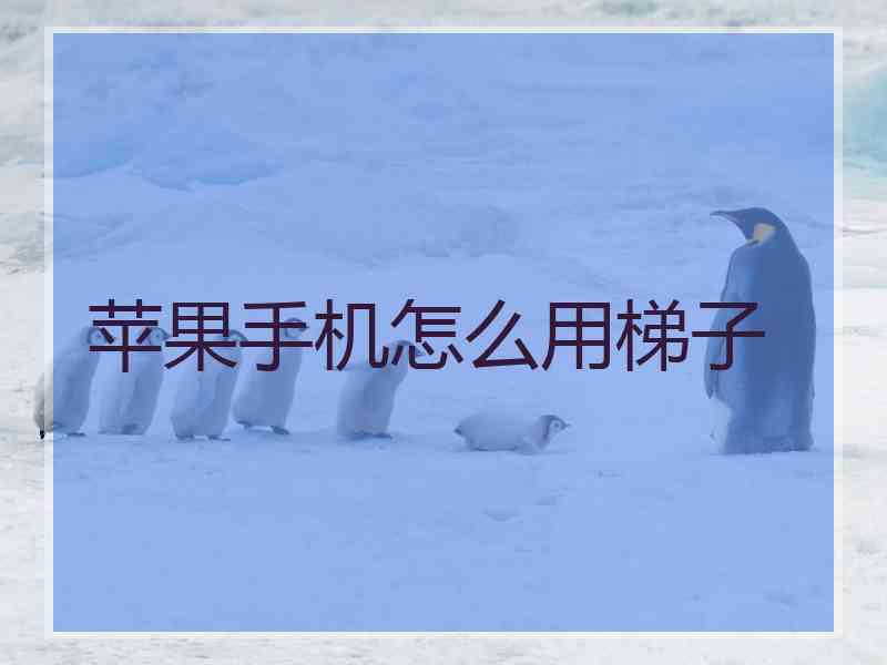 苹果手机怎么用梯子