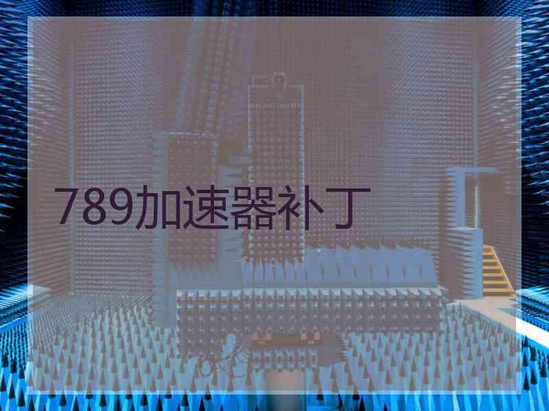 789加速器补丁